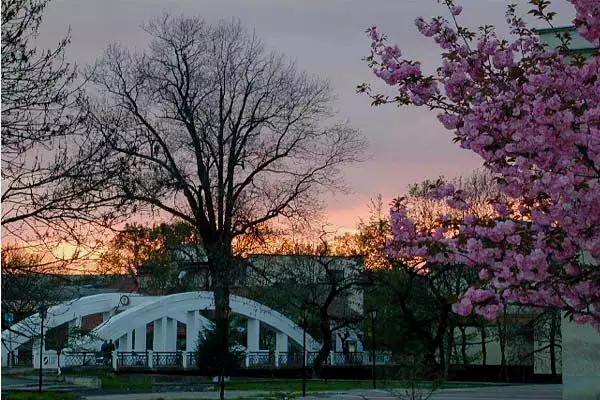 Центральний міст 1924 року