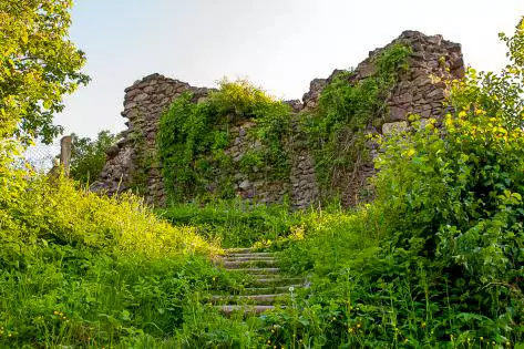 Руїни Броньківського замку