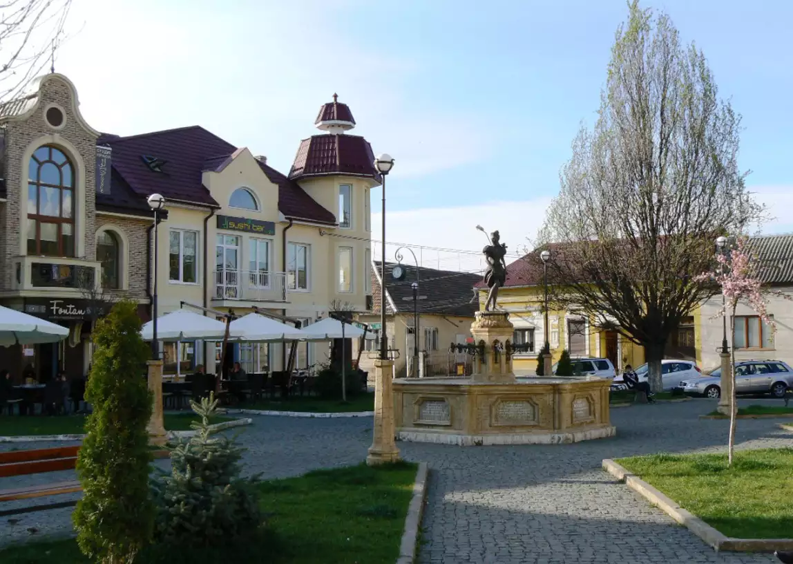 Виноградів