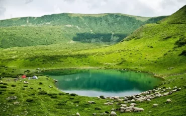 Літній відпочинок на Драгобраті