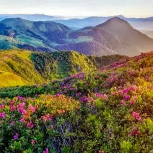 тур похід квіткове диво