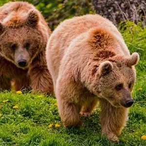 тур в закарпаття на вихідні