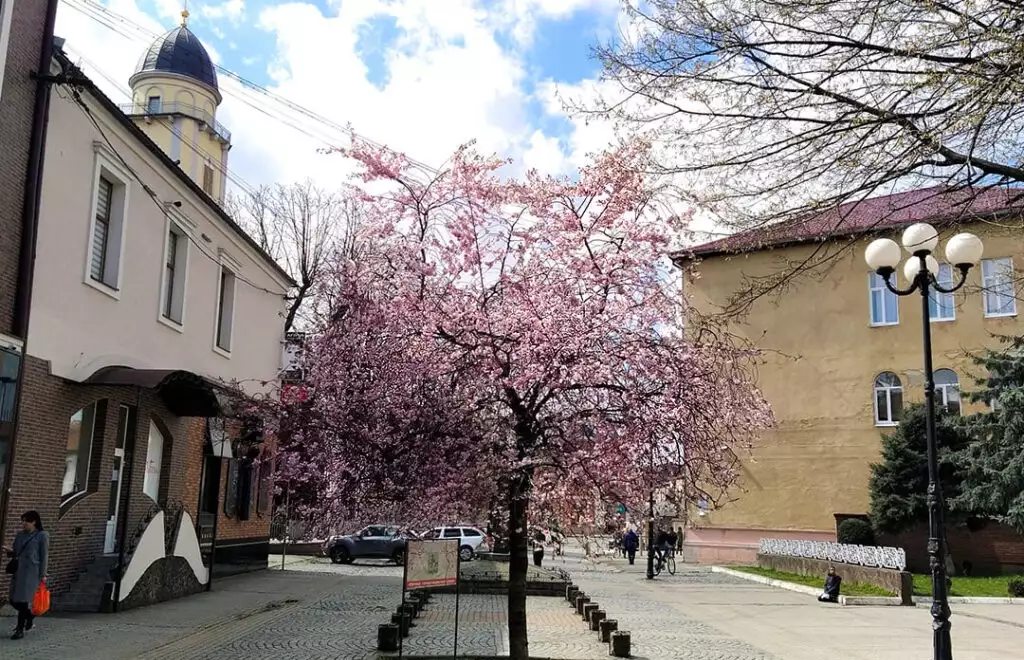 Особливості літнього відпочинку в Мукачево