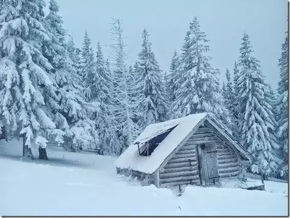 Піші екскурсії та походи в гори