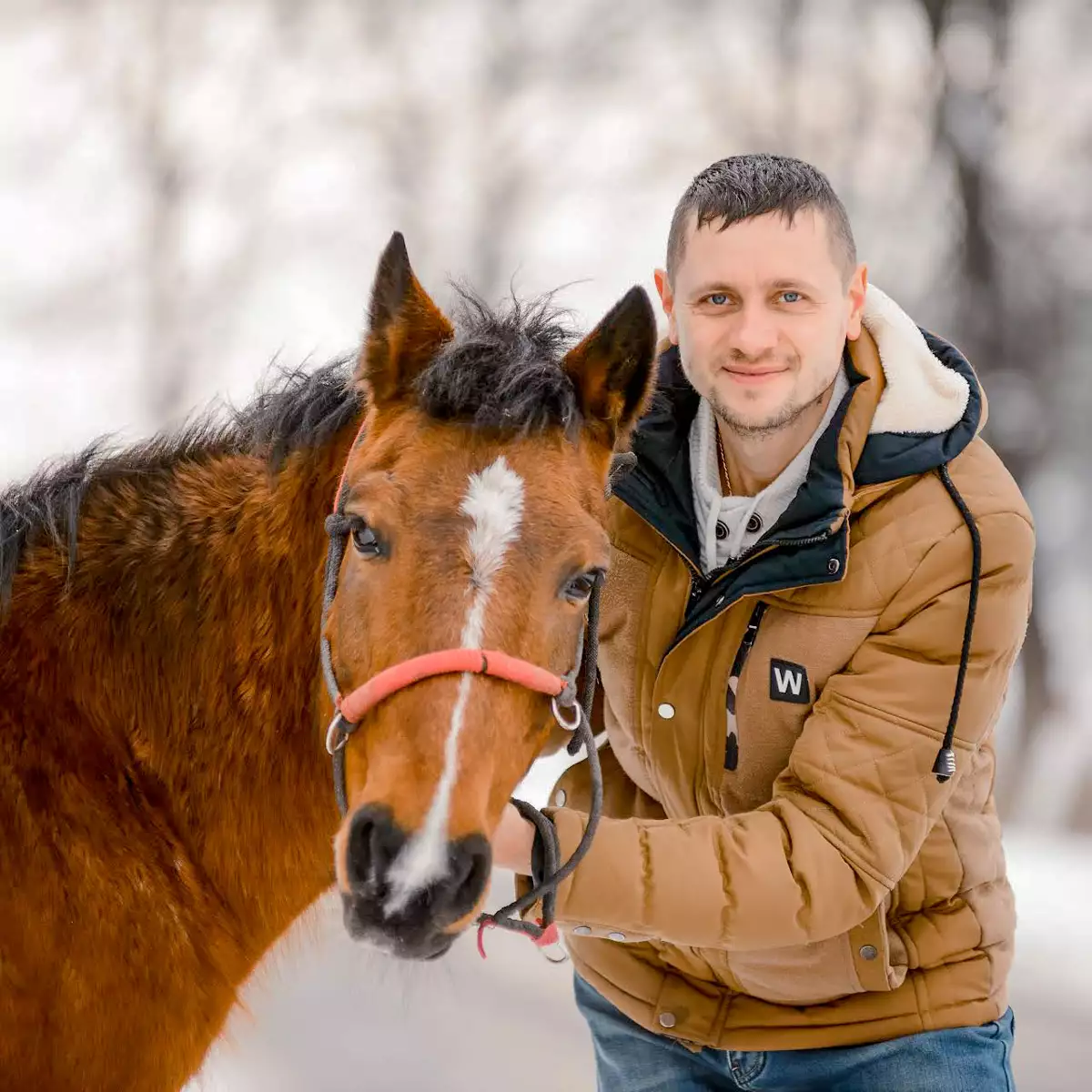 Катання на конях у Воловці