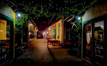 Провулок Гірчичне зерно