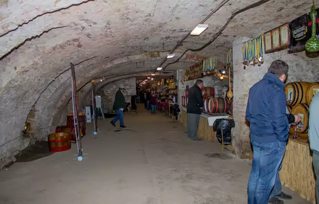 Совине гніздо в Ужгороді