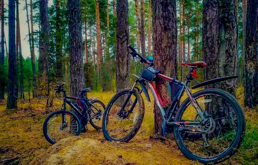 Міні-готель Villa Mitades, Косино