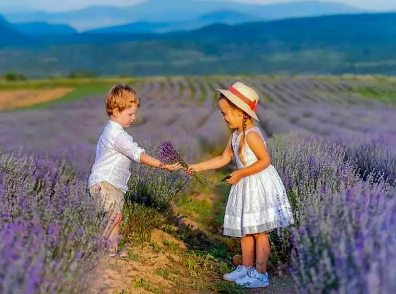 Лавандова гора