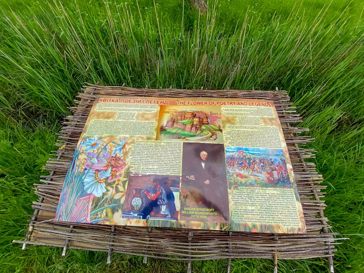 Долина нарцисів