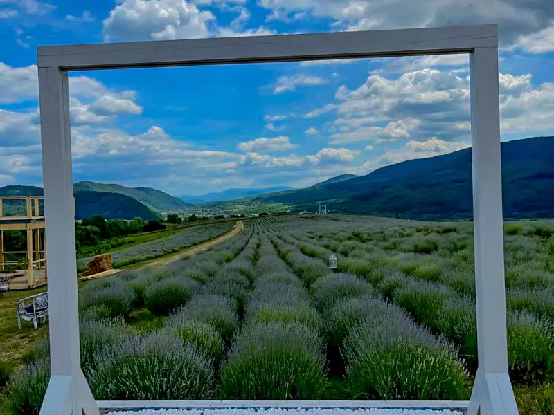 Лавандова гора