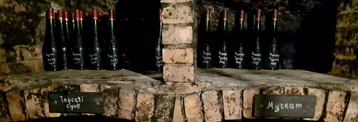 Винні підвали в скелі сім’ї Урста