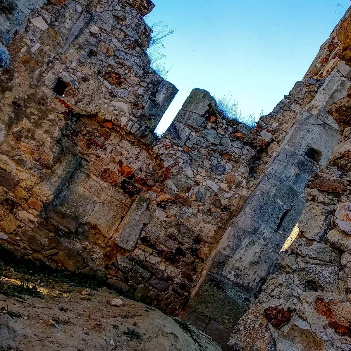 Руїни домініканського костелу