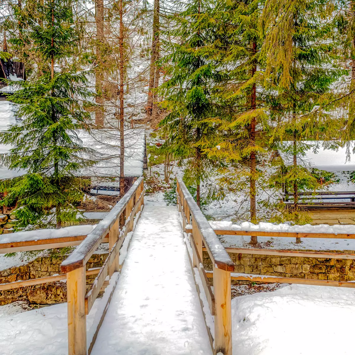 Hotel “Mykulyn Chutirets”