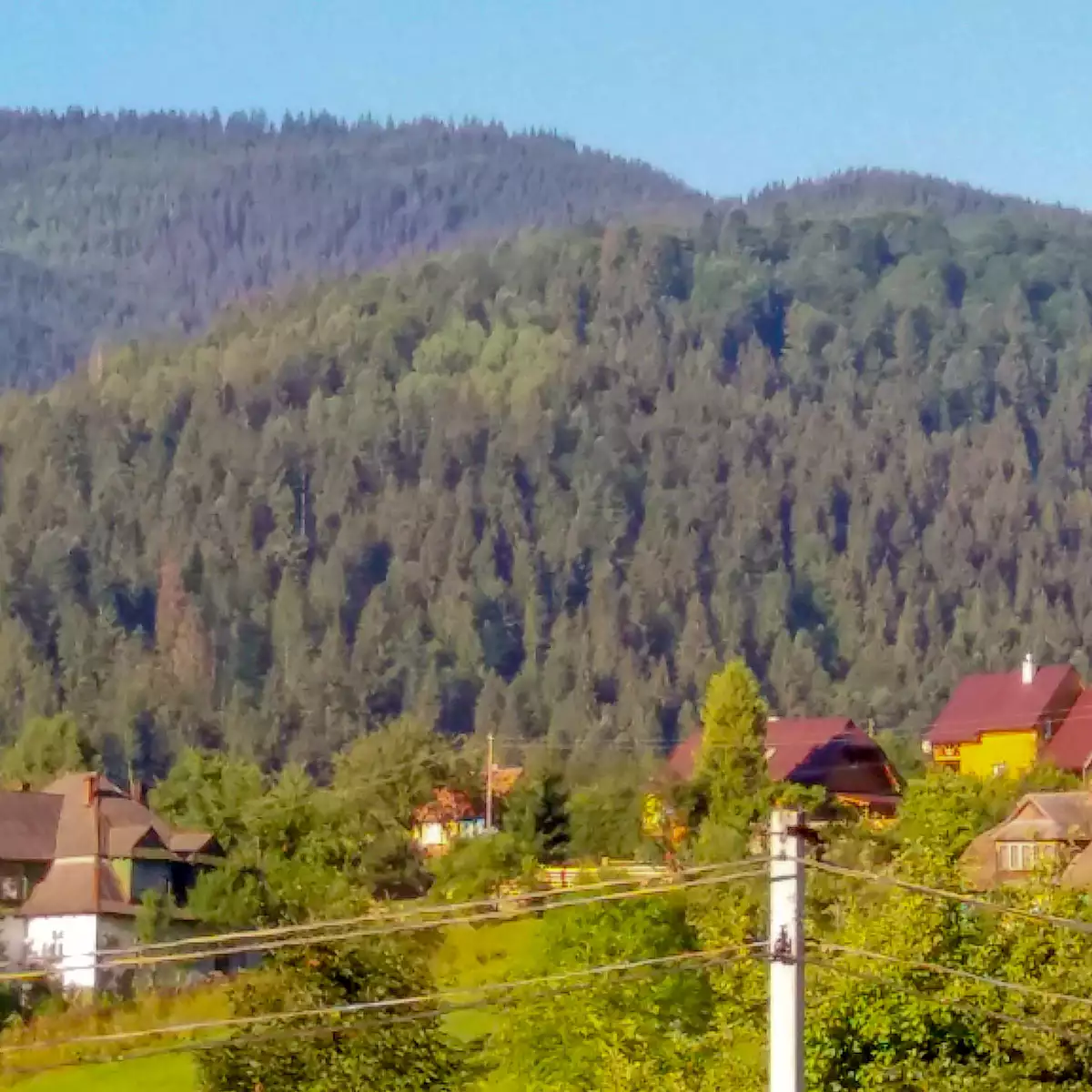 Ресторан “Прут”