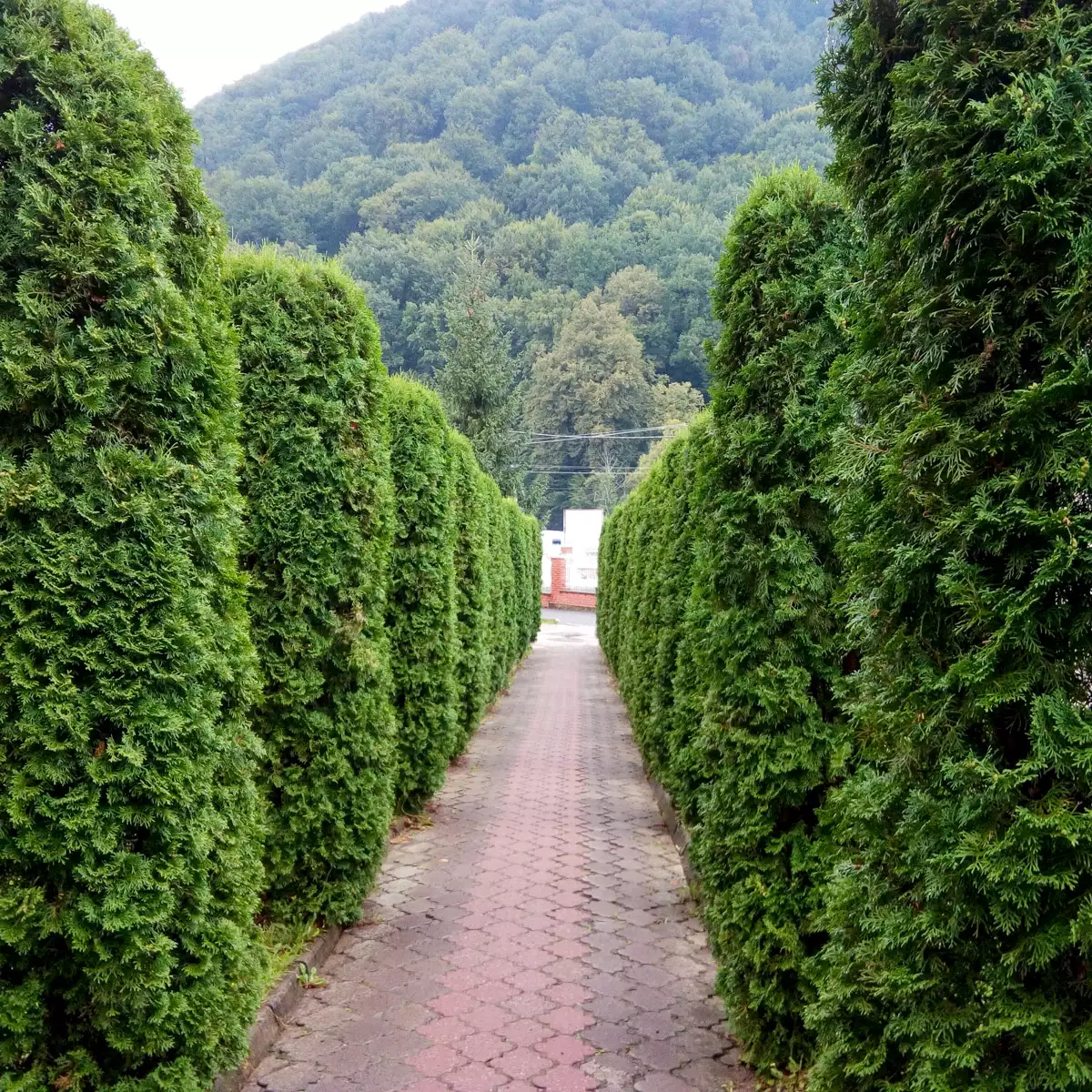 Sanatorium “Shayan”