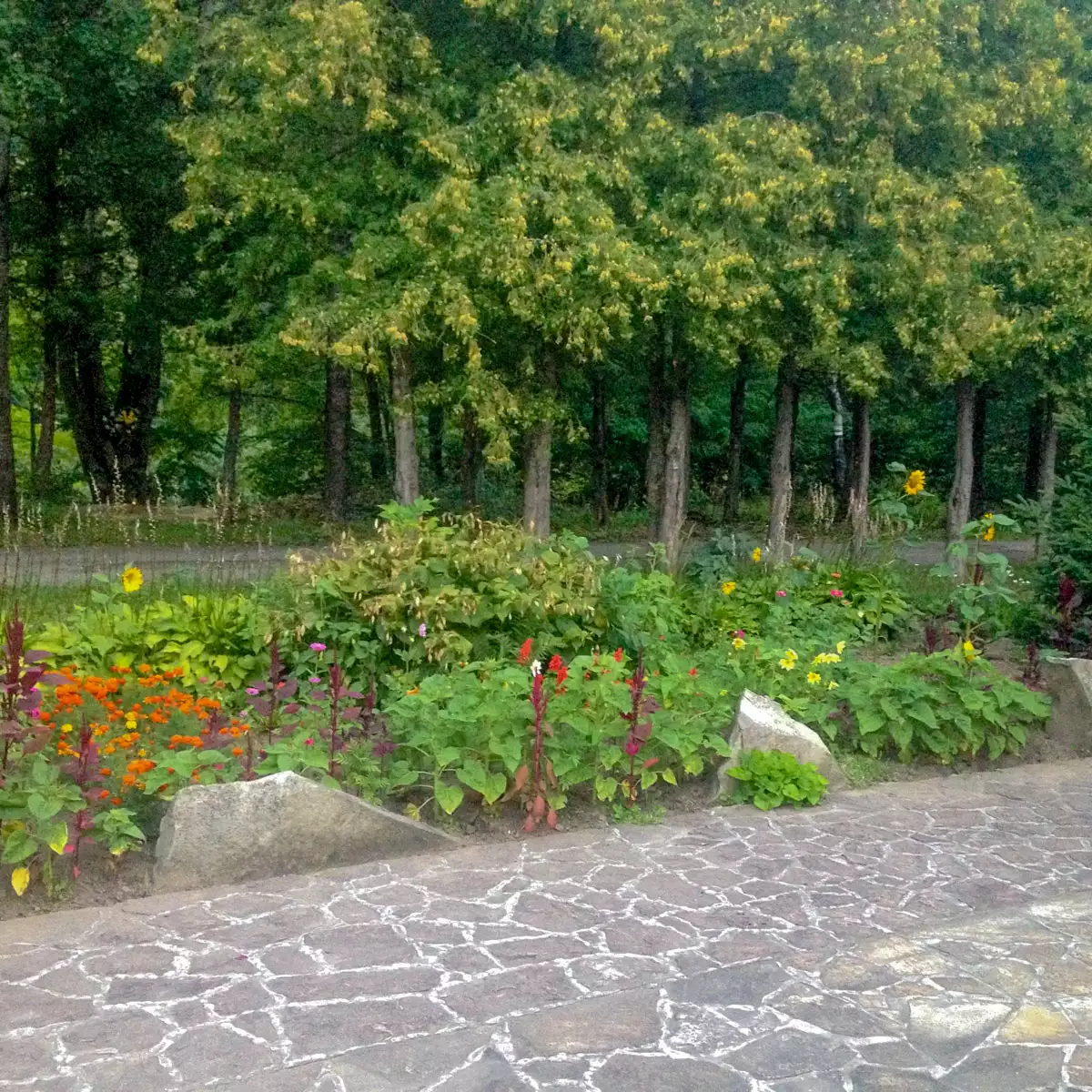 Restaurant “Graschda”