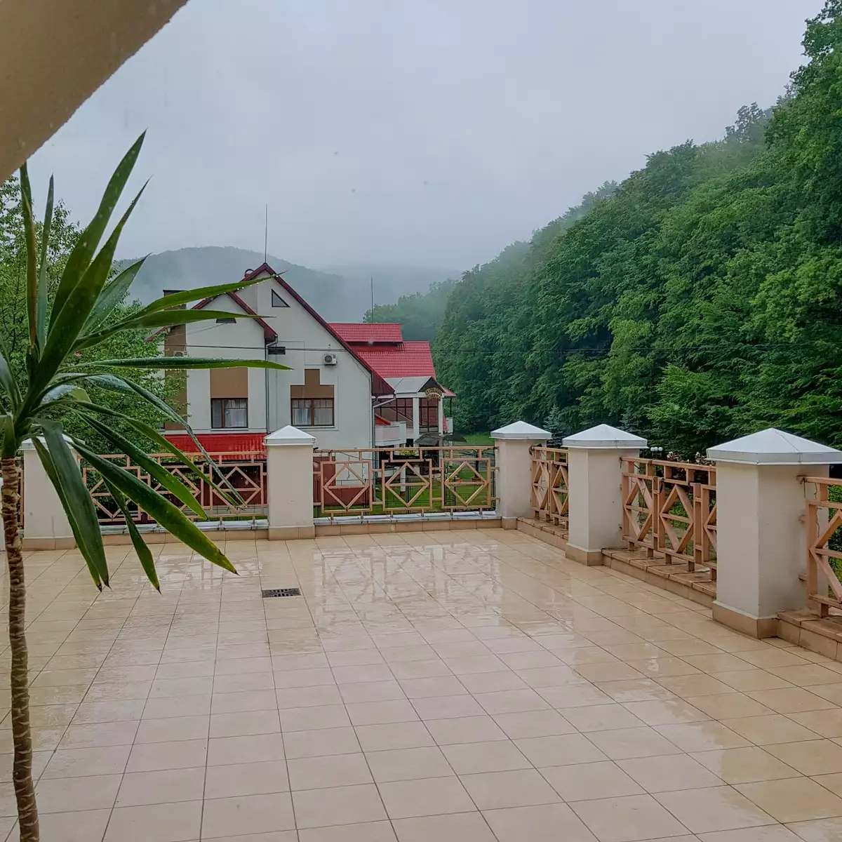 Санаторій «Сонячна Поляна»