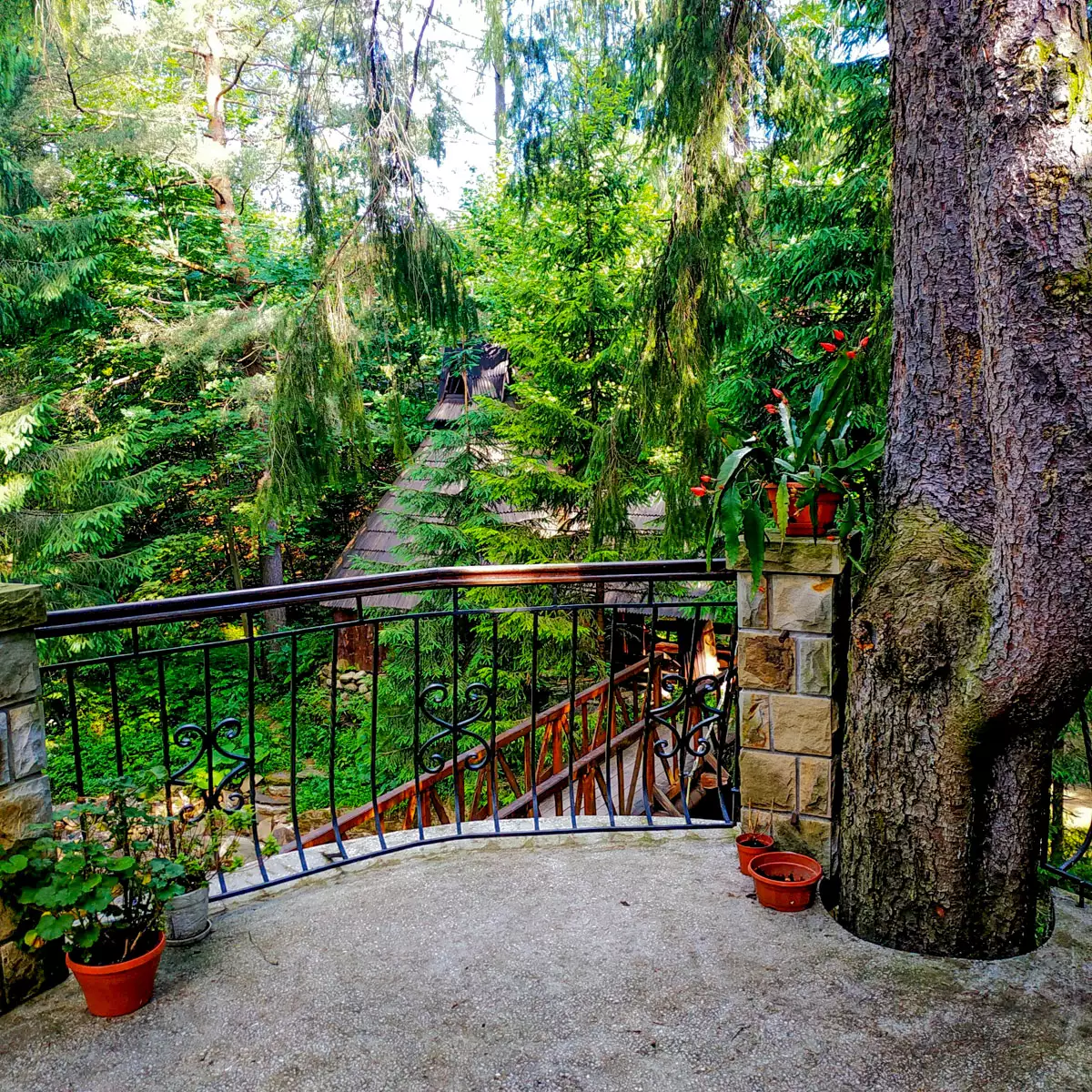 Hotel “Mykulyn Chutirets”