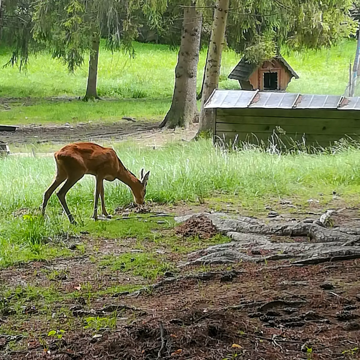Sanatorium “Karpaty”