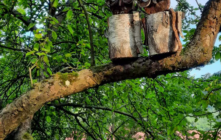 Санаторий «Поляна»