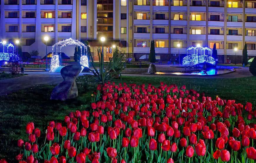 Санаторий «Квитка Полонини»