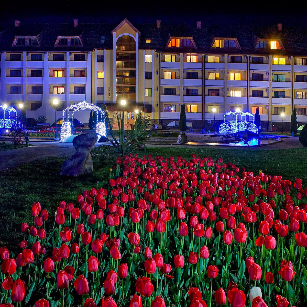 Санаторій «Квітка Полонини»