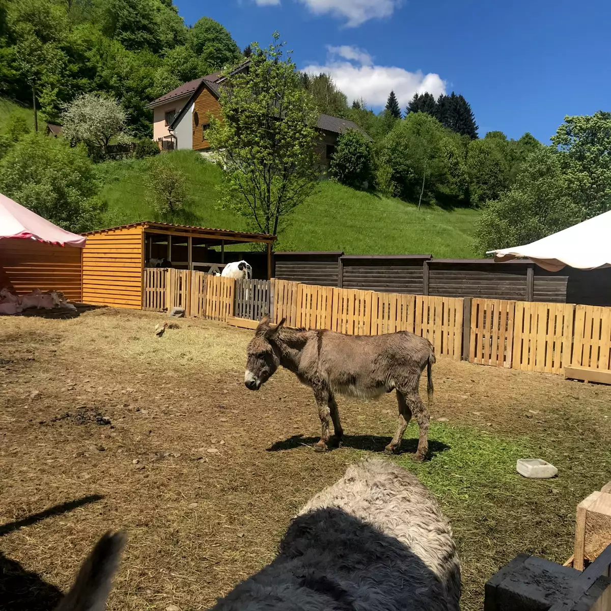 Sanatorium “Hirska Tysa”