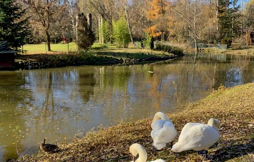 Санаторий «Квитка Полонины»