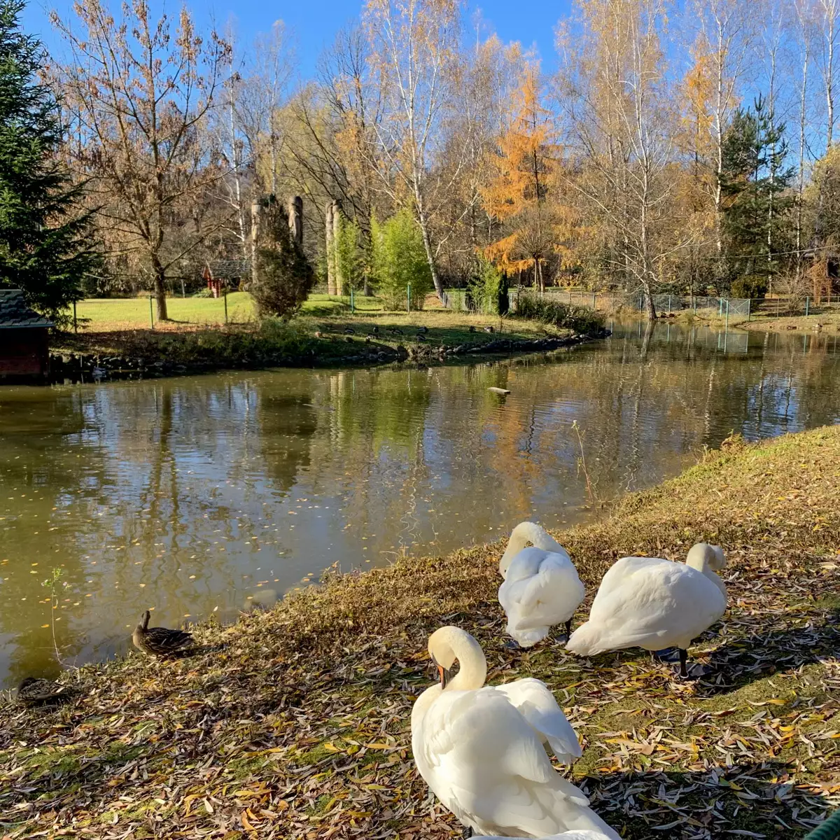 Sanatorium “Kvitka Polonyny”
