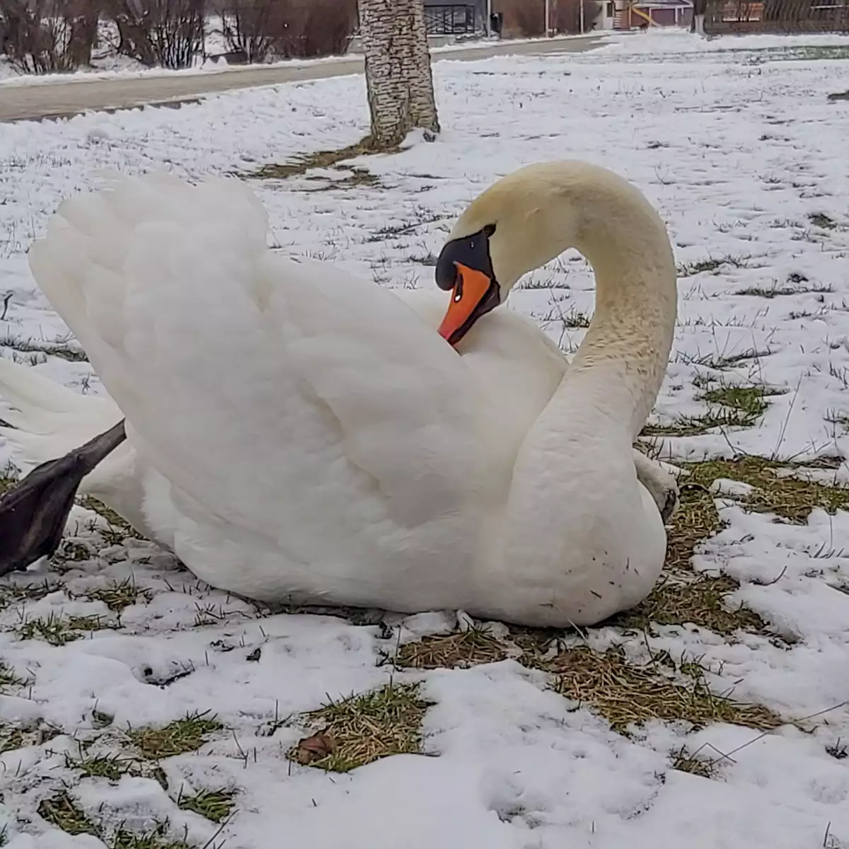 Sanatorium “Teplitsia”