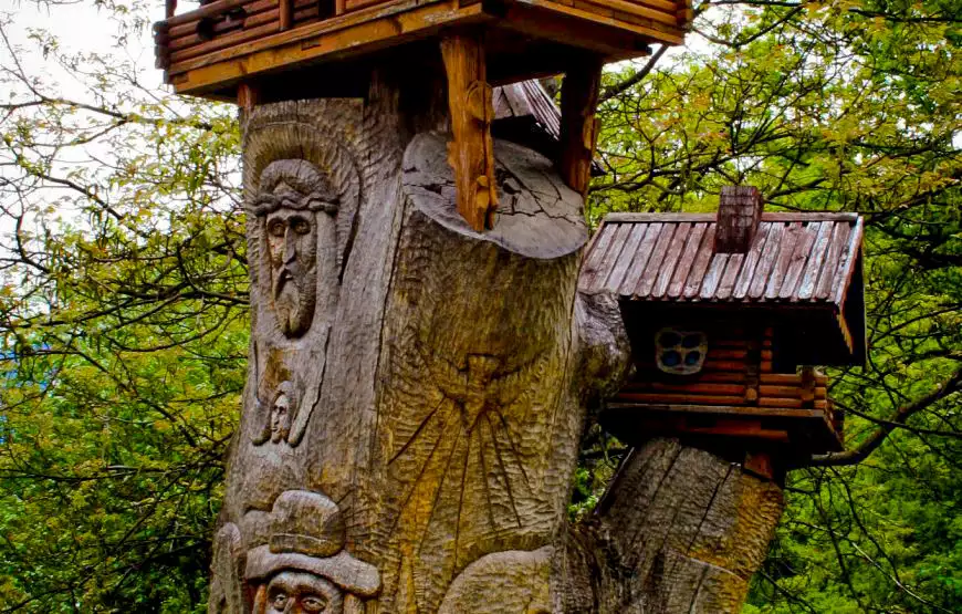 Санаторий «Карпаты»