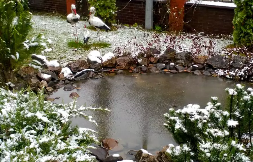 Санаторий «Солнечная Долина»