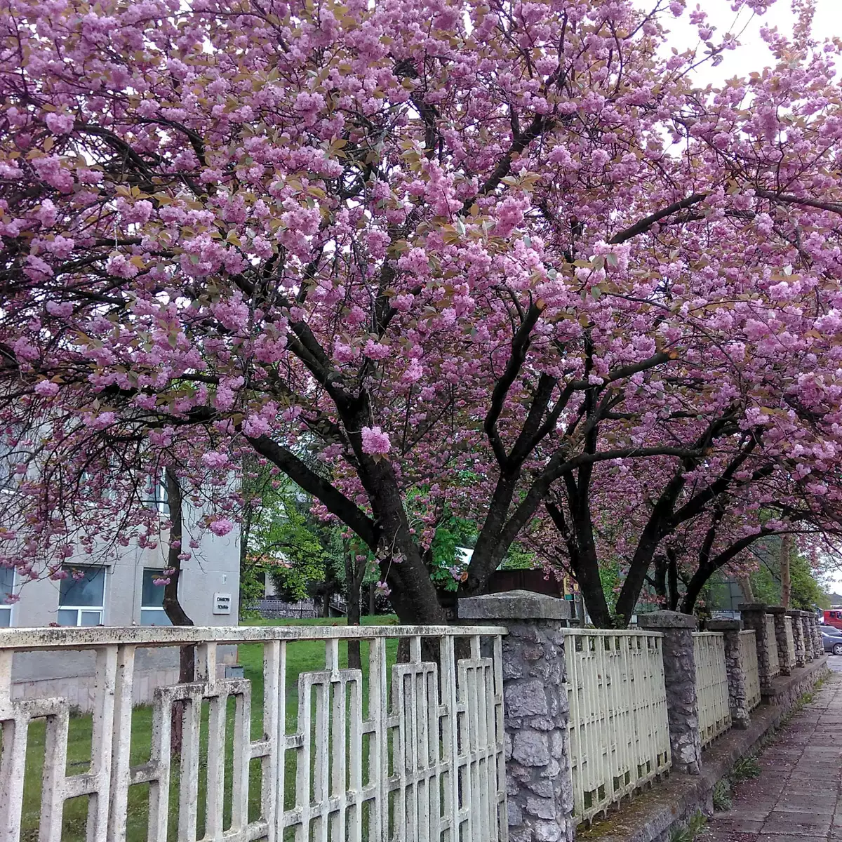 Sanatorium “Polyana”