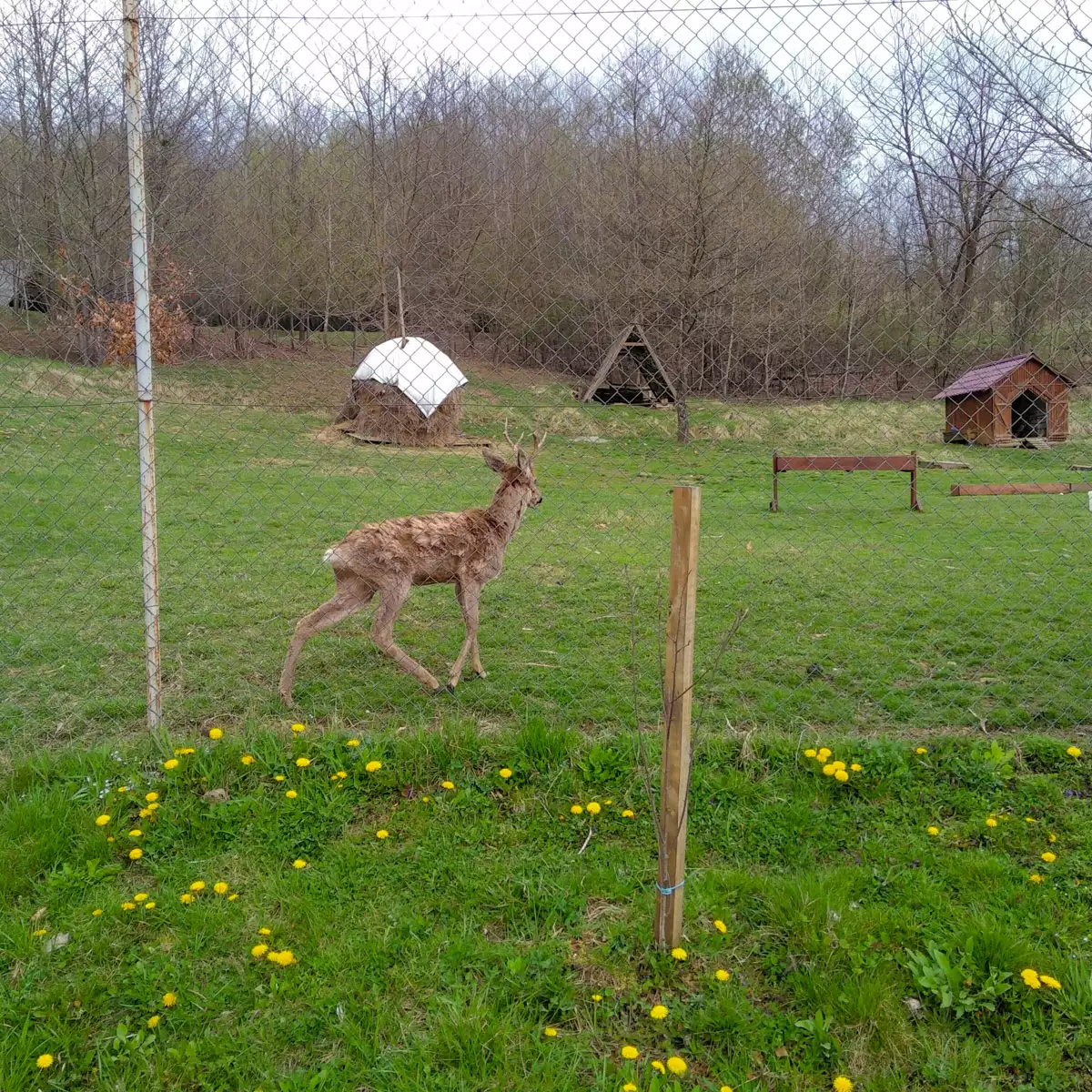 Sanatorium “Thermal Star”