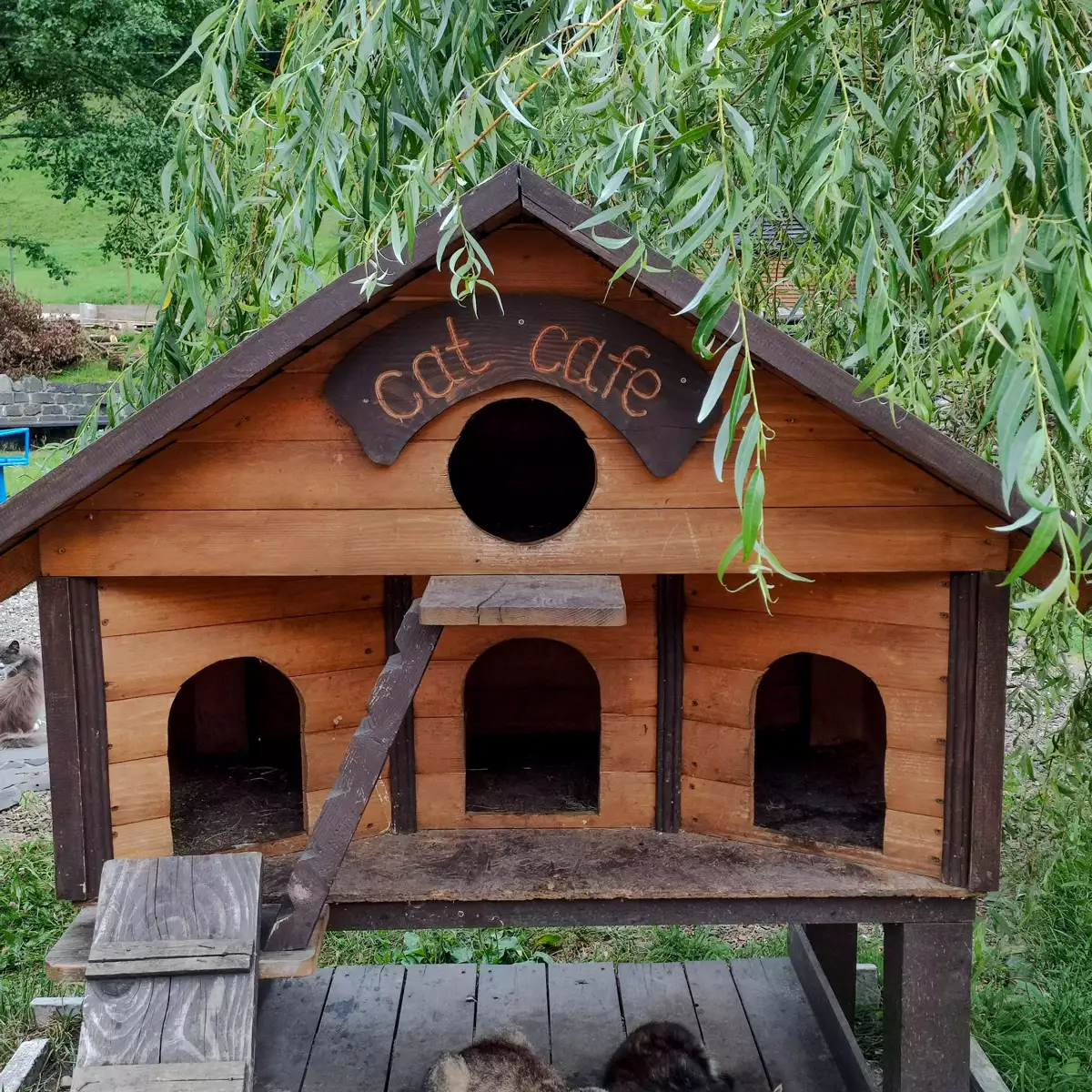 Sanatorium “Hirska Tysa”