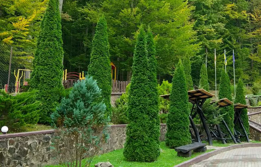 Санаторий «Солнечный»