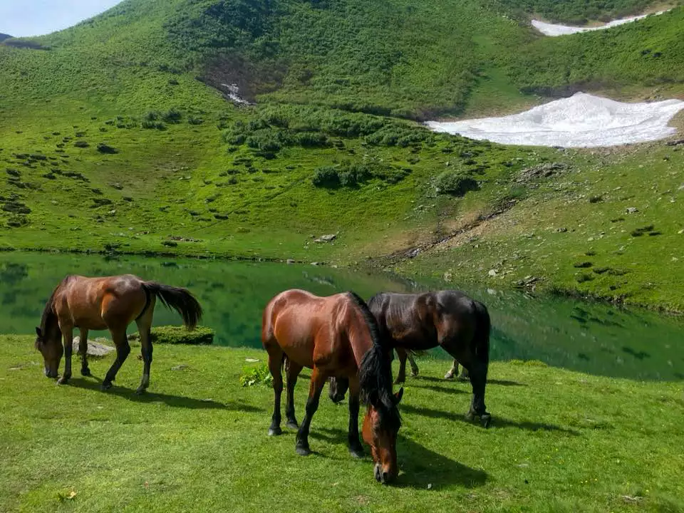 Озеро Ворожеска