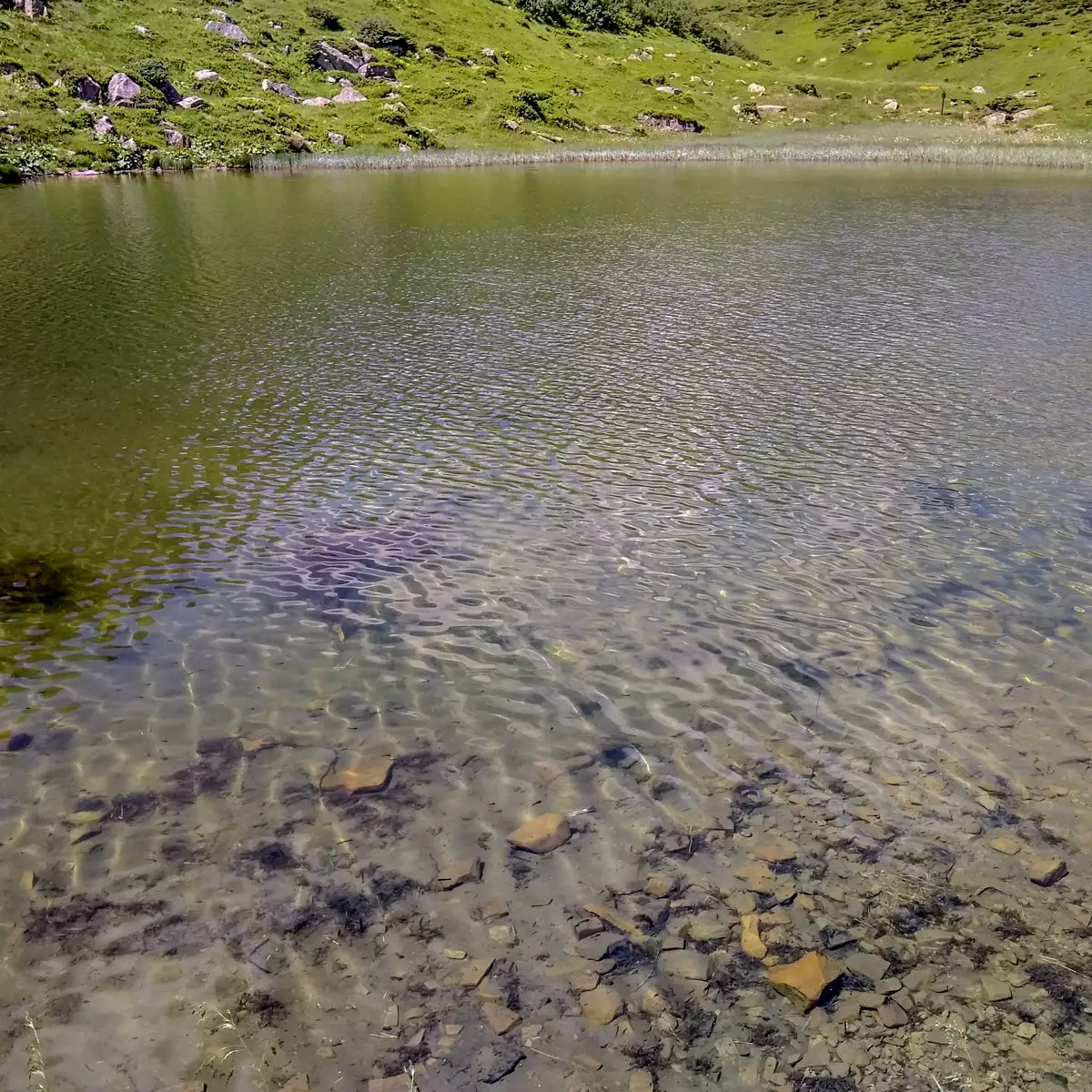 Озеро Апшинець