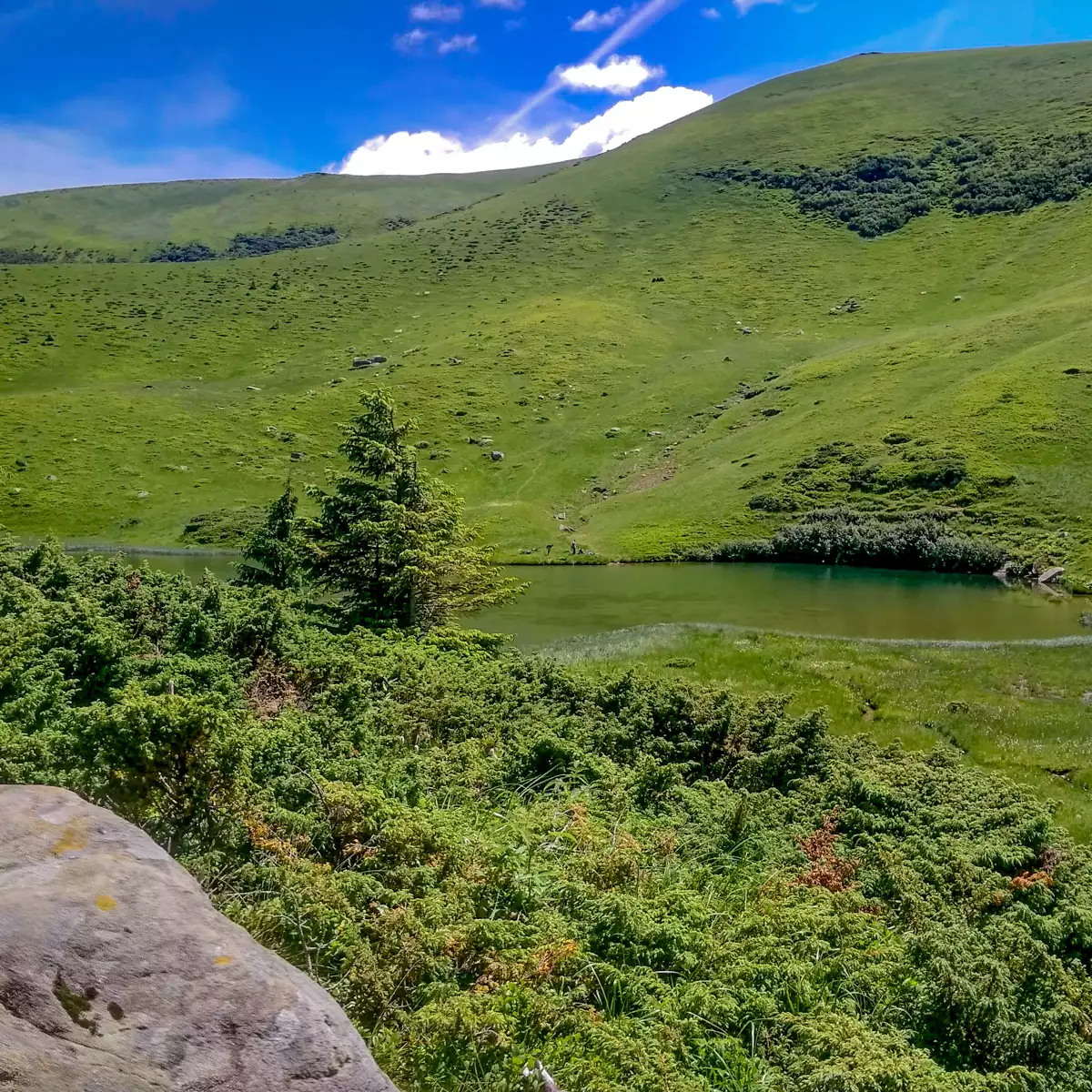 Озеро Апшинець