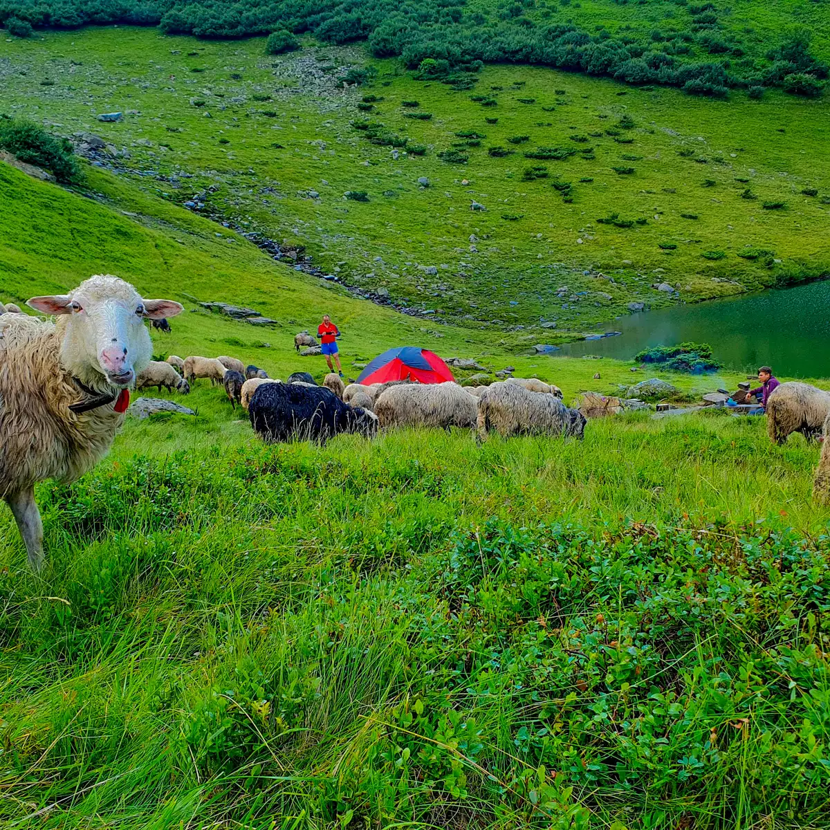 Озеро Ворожеска