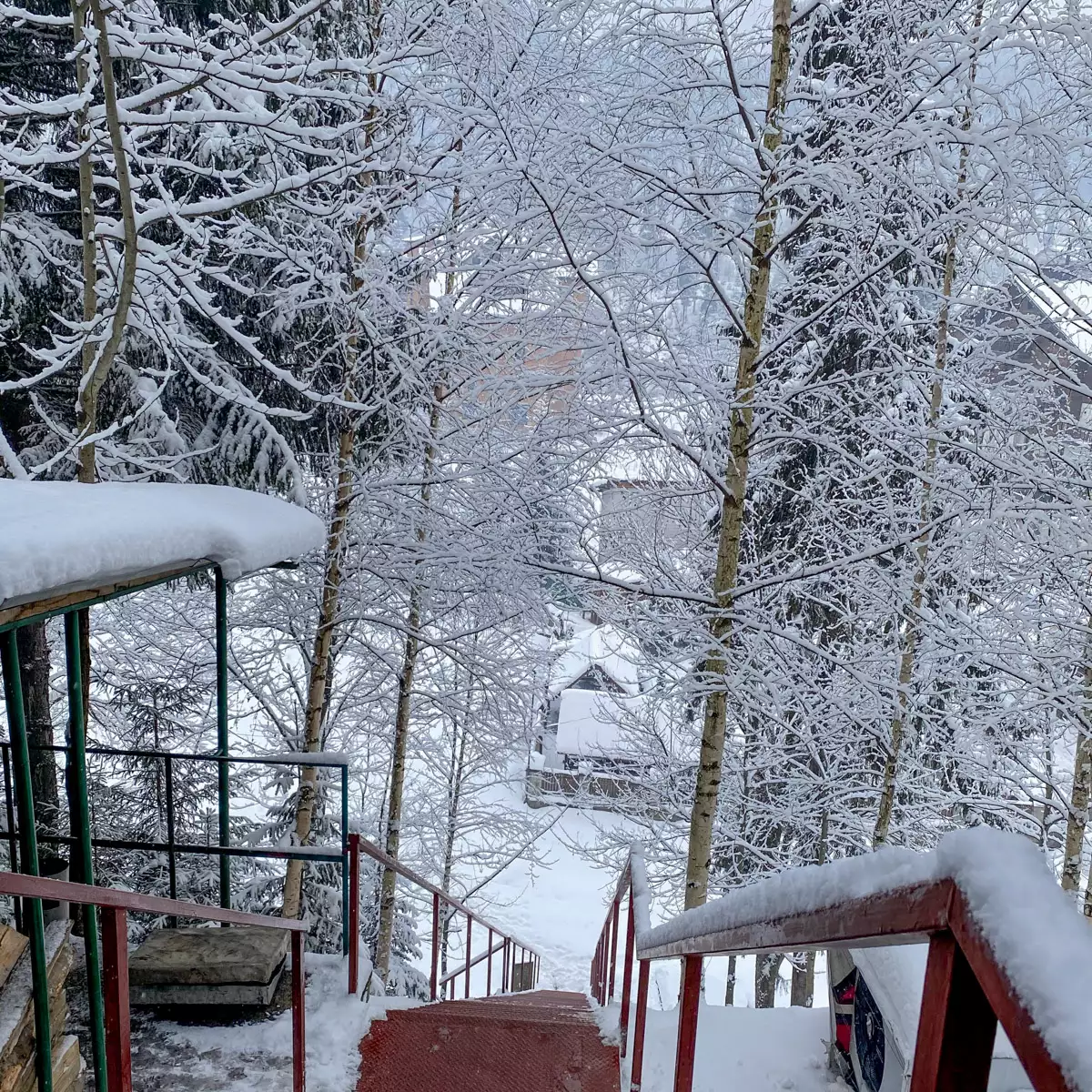 Tourist complex “Torba”