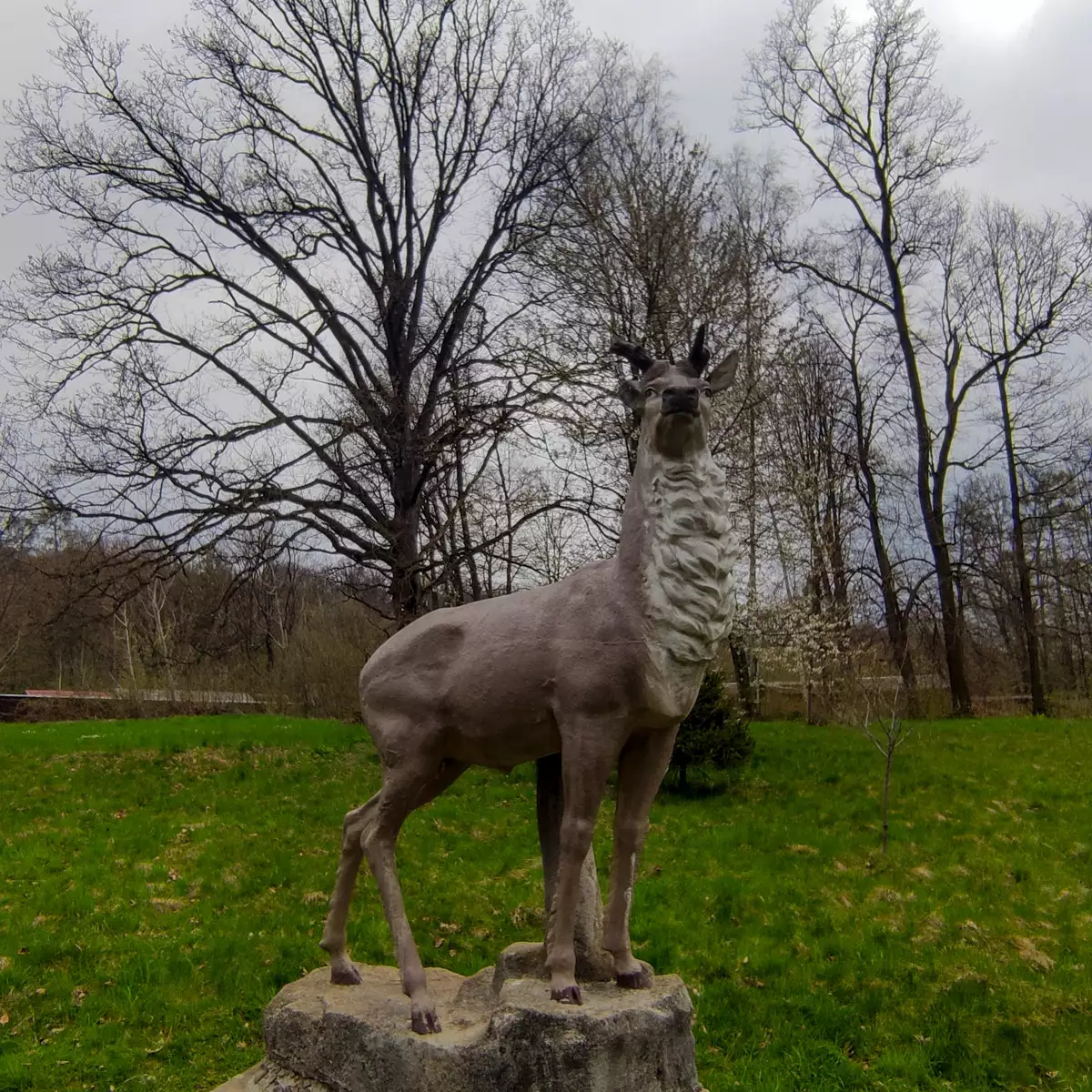 Палац графів Шенборнів (замок Берегвар)