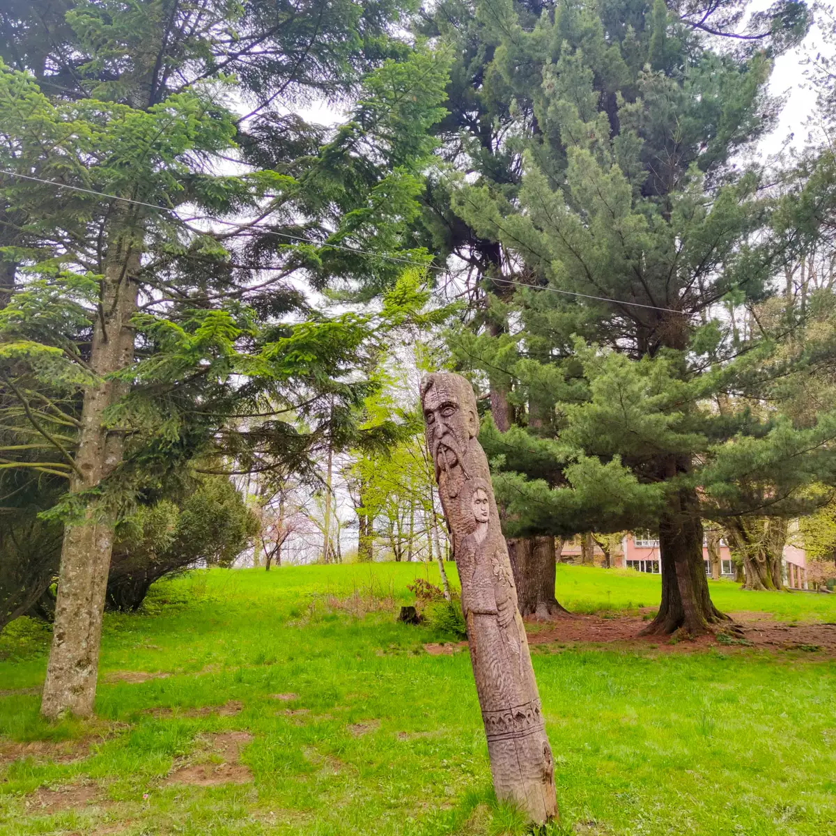 Палац графів Шенборнів (замок Берегвар)