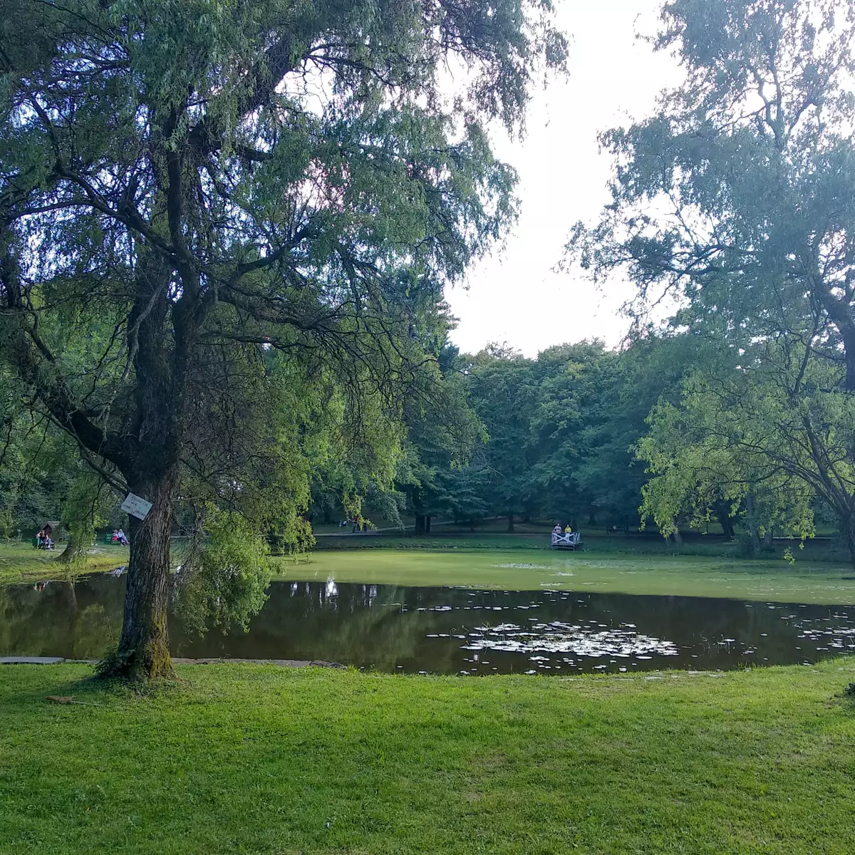 Палац графів Шенборнів (замок Берегвар)