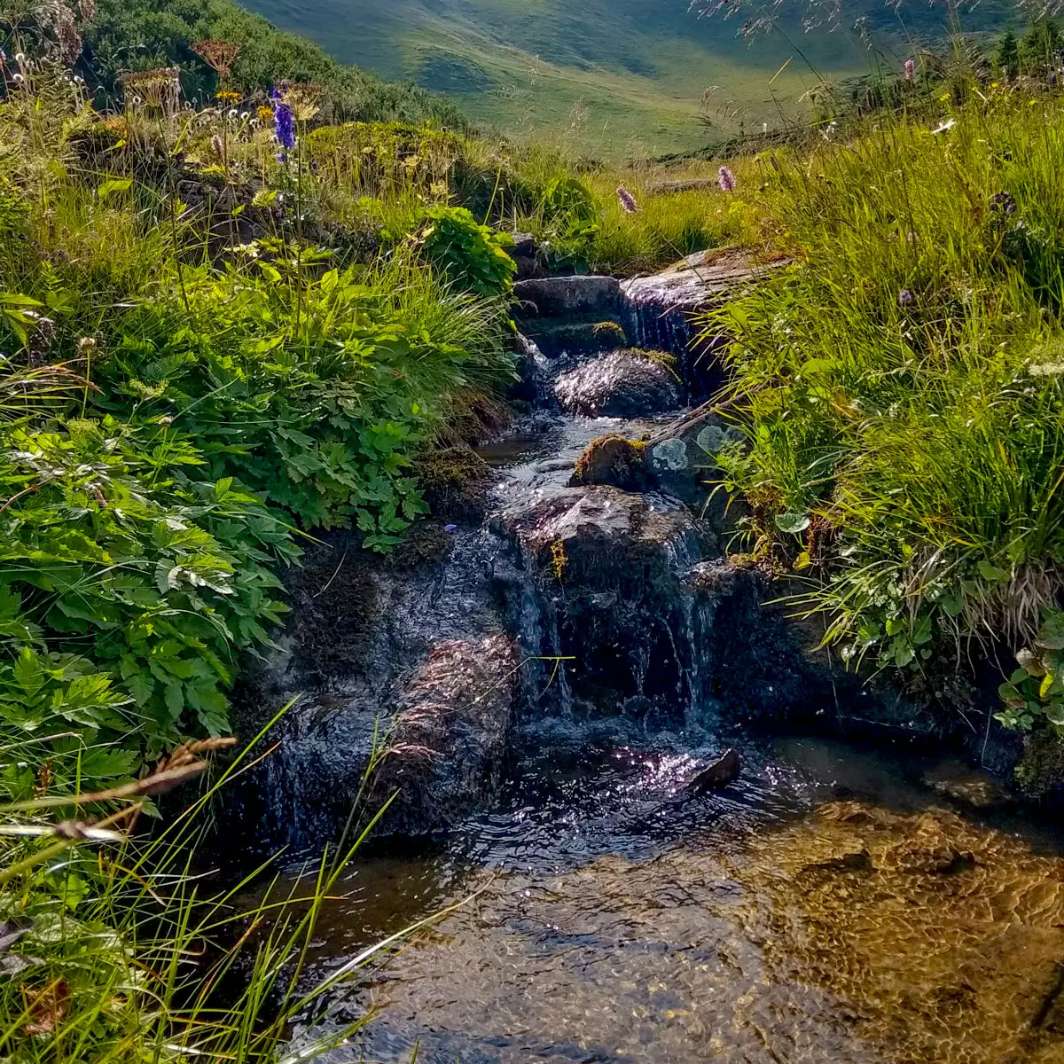 Озеро Апшинець