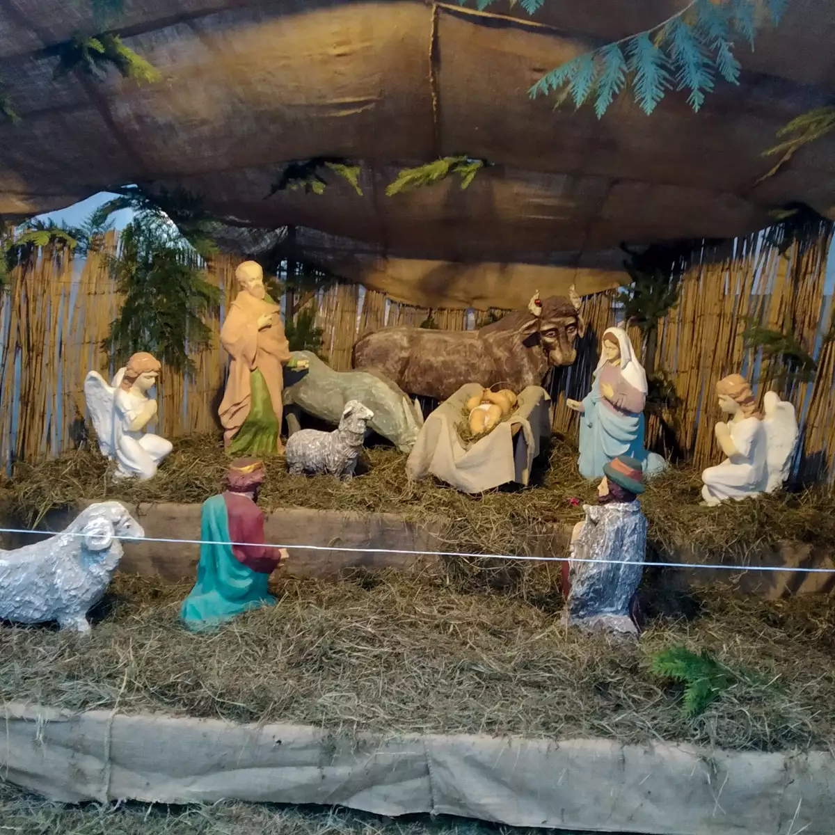 Кафедральний собор Святого Мартіна