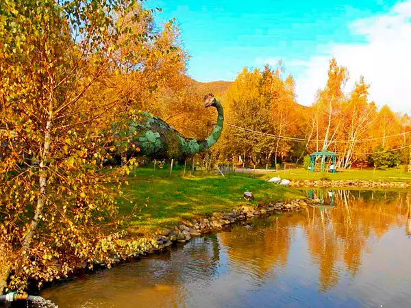 Піші екскурсії та походи в гори (Поляна)