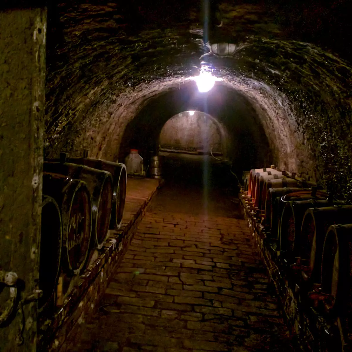 Винний погріб «Кельтський двір»