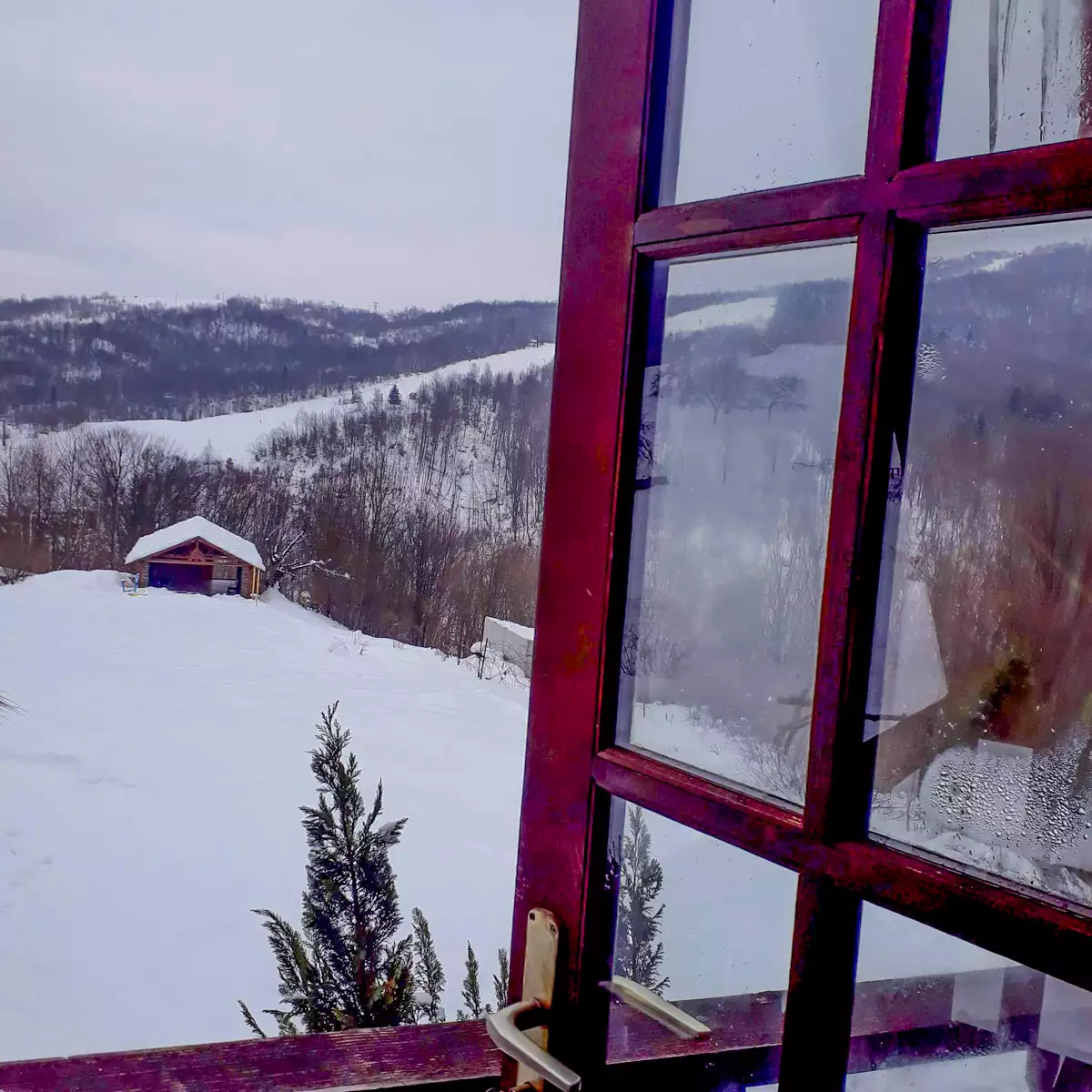 Садиба «Золота модрина»